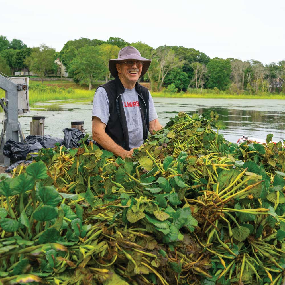 The Estuary’s Most [un]Wanted Plant is Under Water