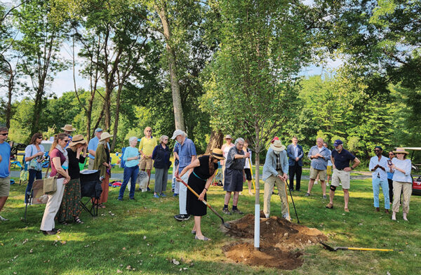 In Memoriam: A Maple for David K. Leff - Estuary Magazine: For people ...